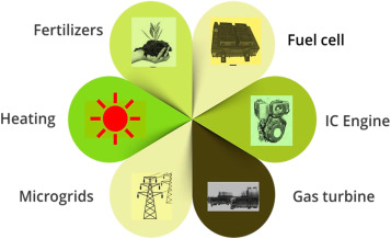 Fueling the Future: Exploring the Benefits of Ketone Ester Supplements